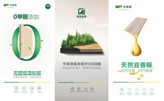 千年舟20岁献礼 净醛产品引领0醛时代，知识产权铸就绿意未来